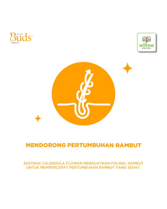 BUDS HAIR VOLUME BOOSTER 100ML