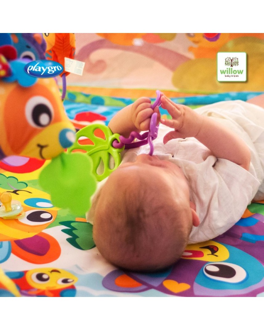 Playgro zoo play time tummy best sale time mat and pillow