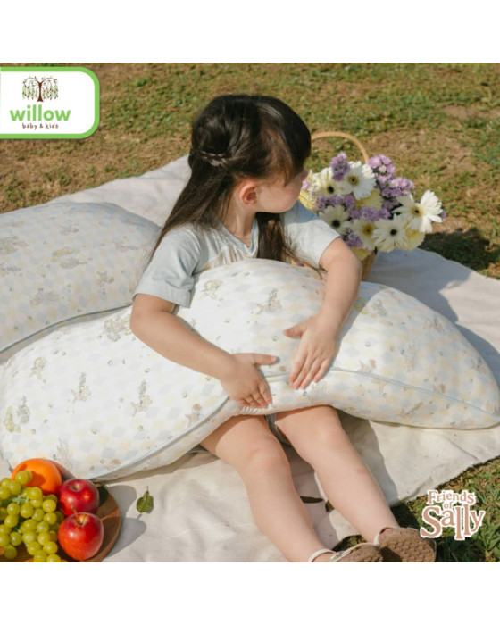 Friends Of Sally Chubby Hug Pillow Rooney Bantal Bayi