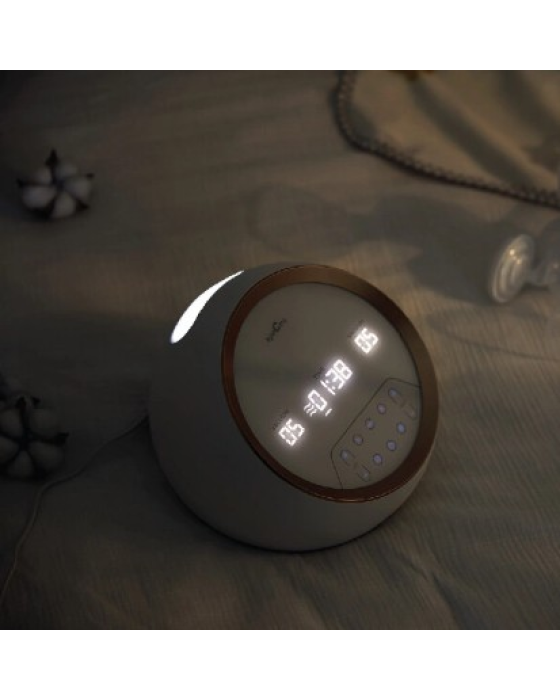 SPECTRA BREASTPUMP DUAL S