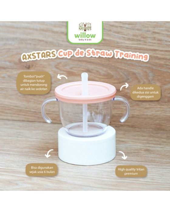 Alat Makan Bayi Richell Axstars Cup De Straw Training