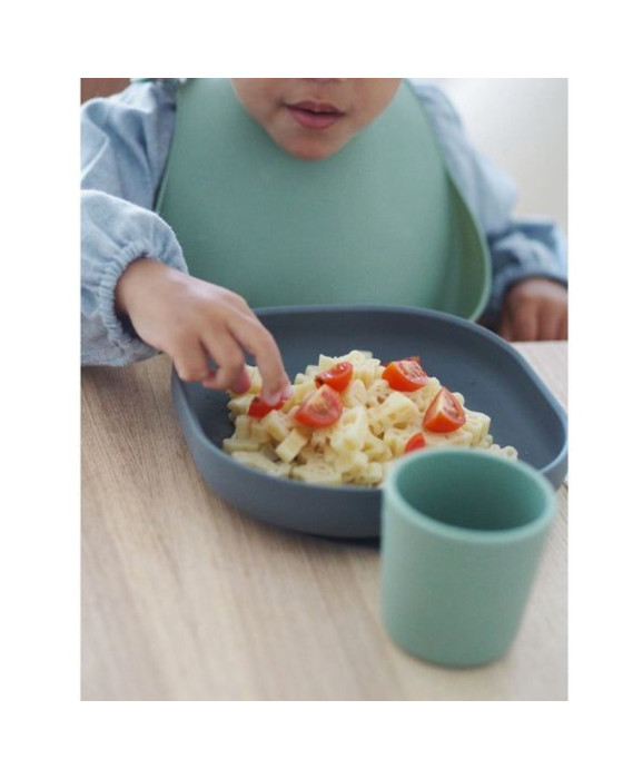 ALAT MAKAN BAYI - BEABA SILICONE SUCTION PLATE
