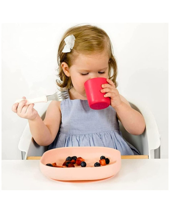 ALAT MAKAN BAYI - BEABA SILICONE SUCTION PLATE