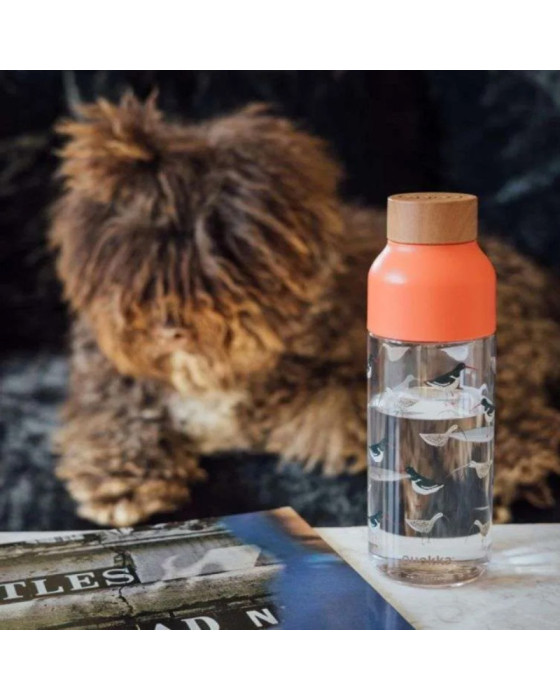 Quokka Ecozen Bottle Ice Alat Makan Bayi 720Ml