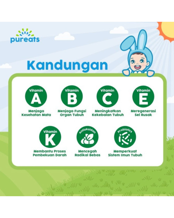 Pureats Smoothie Melts 18Gr Snack Bayi