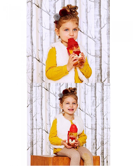 SKIP HOP STRAW BOTTLE - FOX